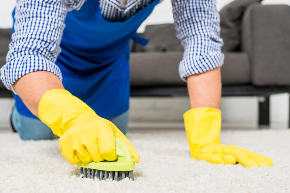 Property Management Cleaning